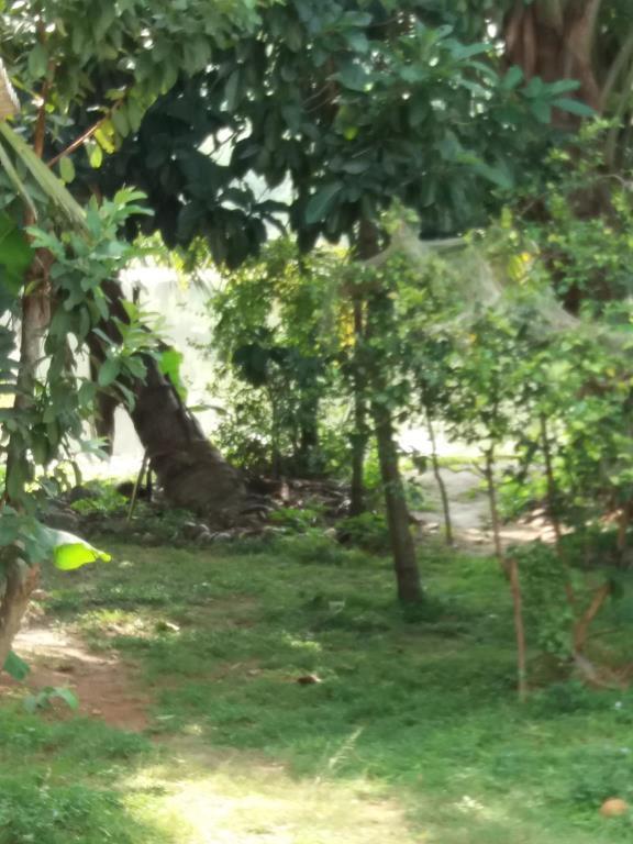 Ishitha Homestay Tangalle Exteriör bild