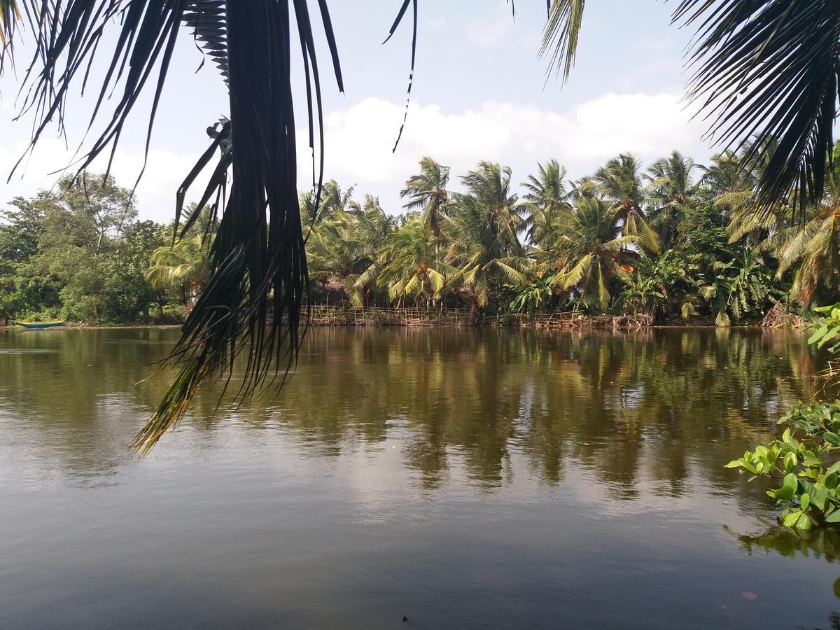 Ishitha Homestay Tangalle Exteriör bild