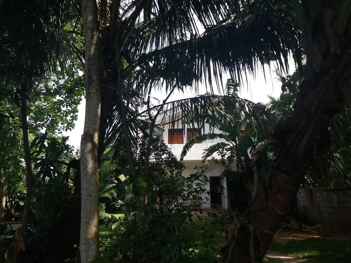 Ishitha Homestay Tangalle Exteriör bild