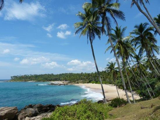 Ishitha Homestay Tangalle Exteriör bild
