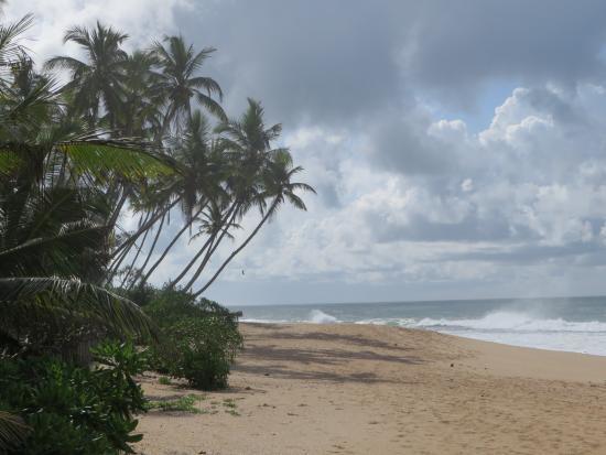 Ishitha Homestay Tangalle Exteriör bild