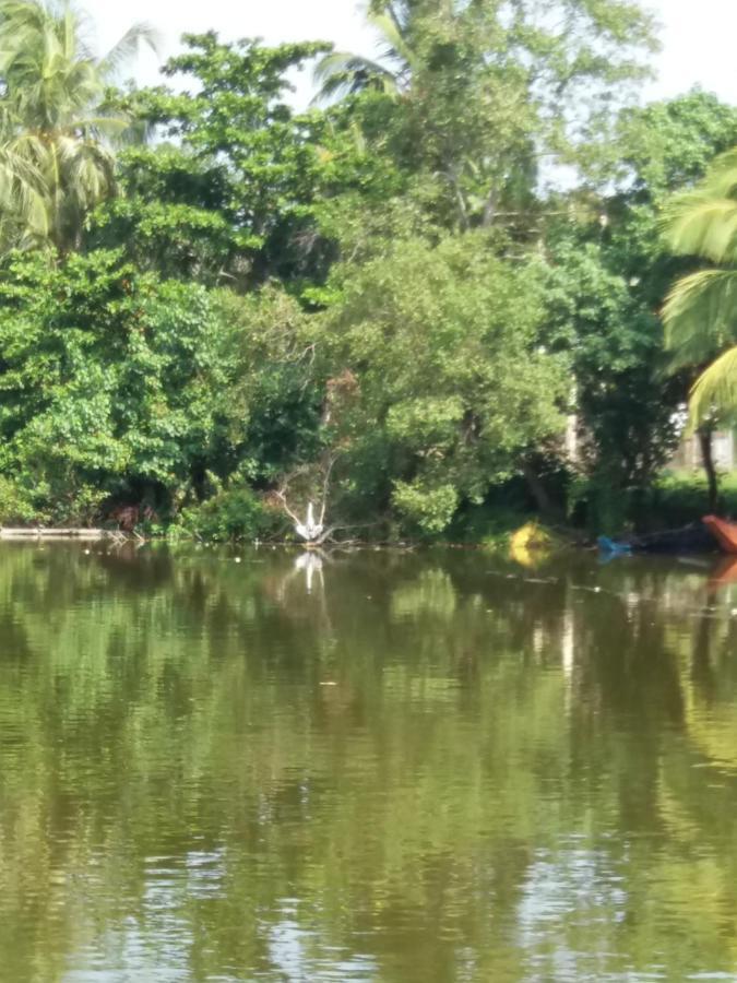 Ishitha Homestay Tangalle Exteriör bild